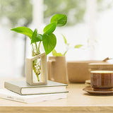 Wooden Stand Flower Pots