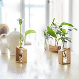 Wooden Stand Flower Pots