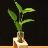 Wooden Stand Flower Pots