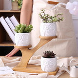 Plant Flower Pot
