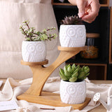Plant Flower Pot