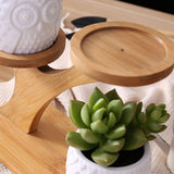 Plant Flower Pot