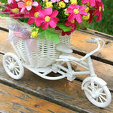 Flower Basket  Pots
