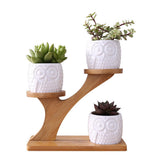 Plant Flower Pot