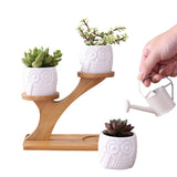 Plant Flower Pot