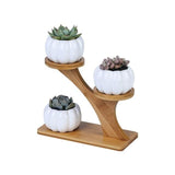 Plant Flower Pot