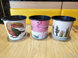 Watering Flower Plants Pot