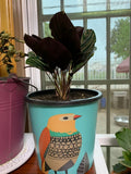 Watering Flower Plants Pot