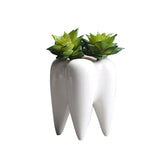 Ceramic Succulent Flower Pot