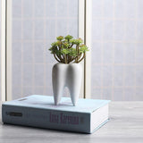 Ceramic Succulent Flower Pot
