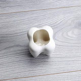 Ceramic Succulent Flower Pot