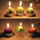 Cactus Candles Simulated Plants