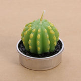 Cactus Candles Simulated Plants