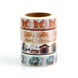Adhesive Tapes Stickers Decor