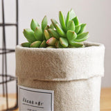 New Home  Flower Pot
