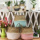 Belly Flower Pot