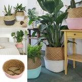 Belly Flower Pot