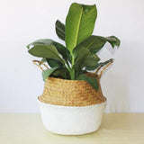 Belly Flower Pot