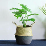 Belly Flower Pot