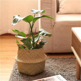 Belly Flower Pot
