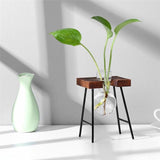 Bonsai Flower Pot